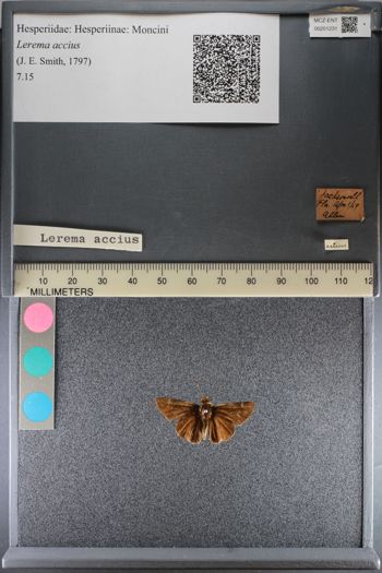 Media type: image;   Entomology 201231
